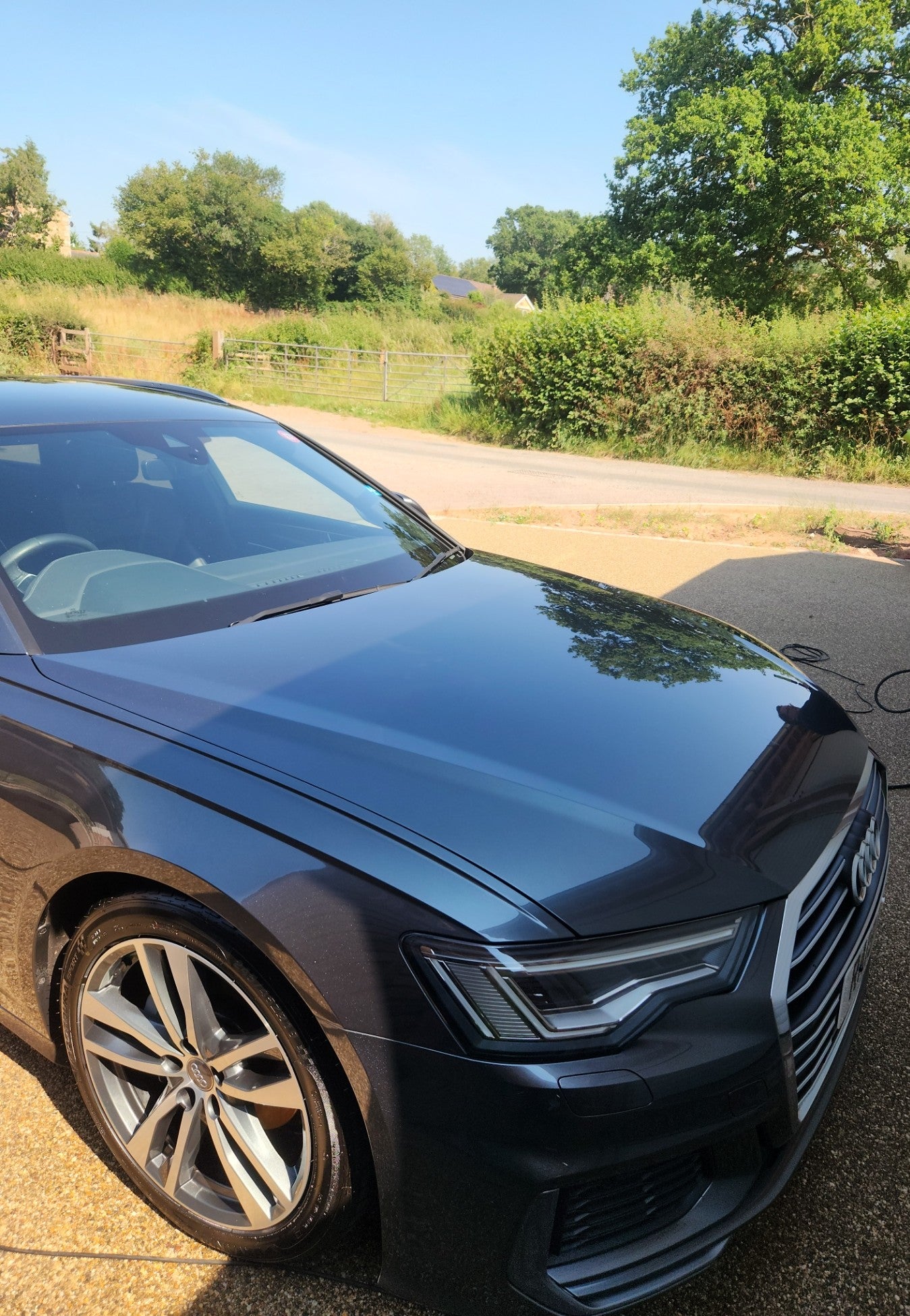 Regular Valet