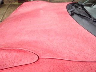 Machine Polishing Paint Correction